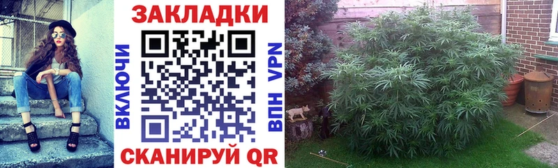Цена Зубцов A PVP  Амфетамин  Меф  ГАШ  Каннабис 