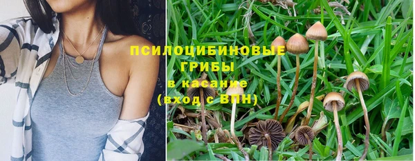 spice Абаза