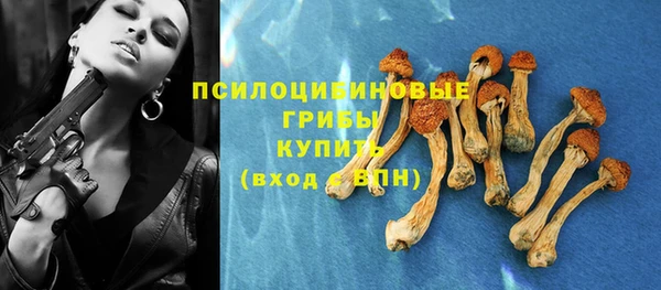 a pvp Абдулино